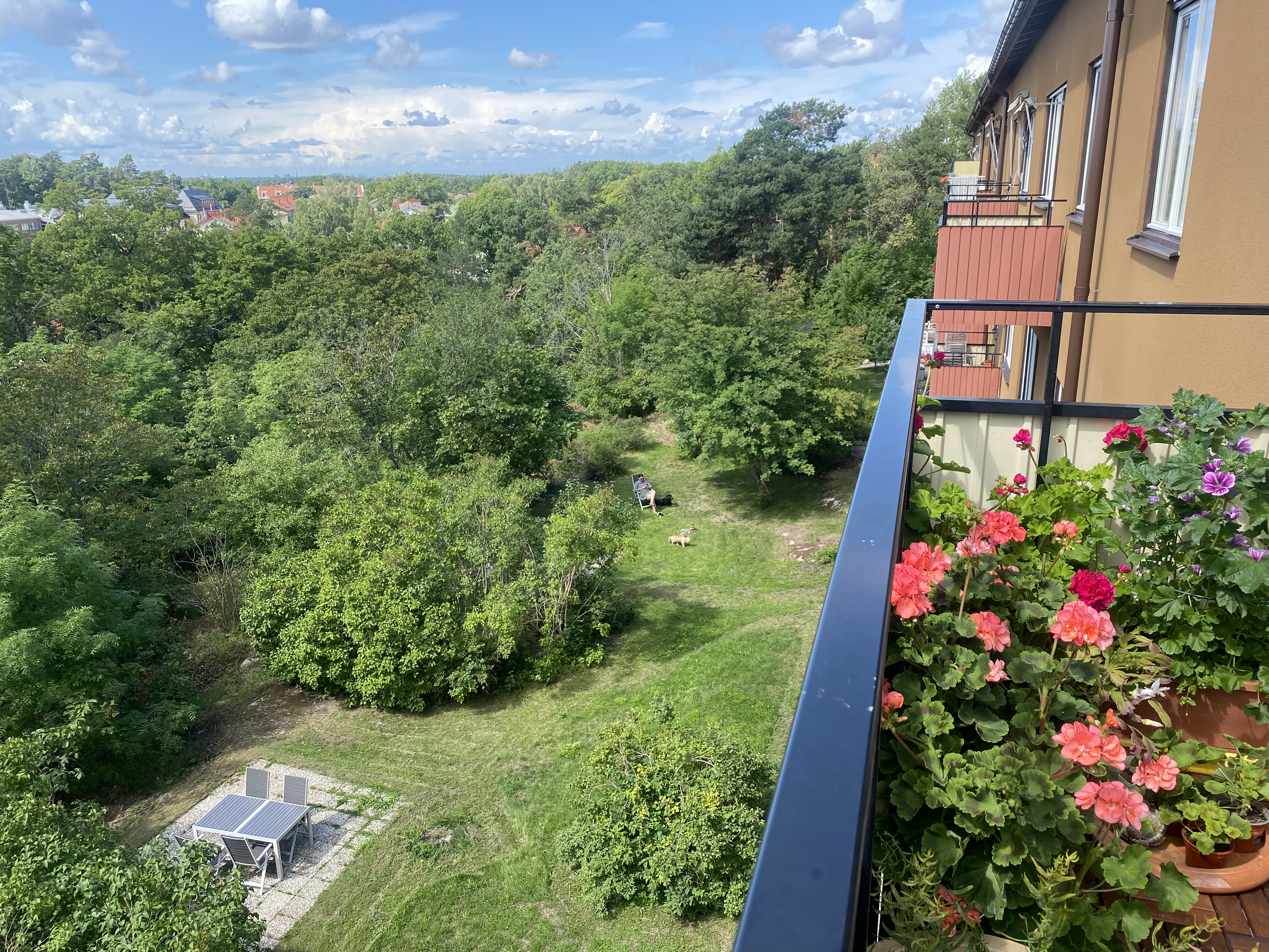 Föreningens trädgård